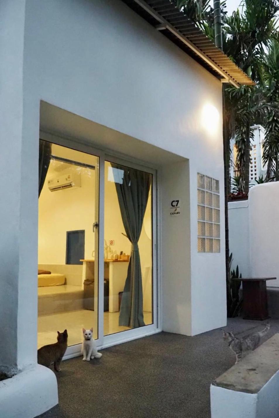 Canary Guesthouse Pai Δωμάτιο φωτογραφία