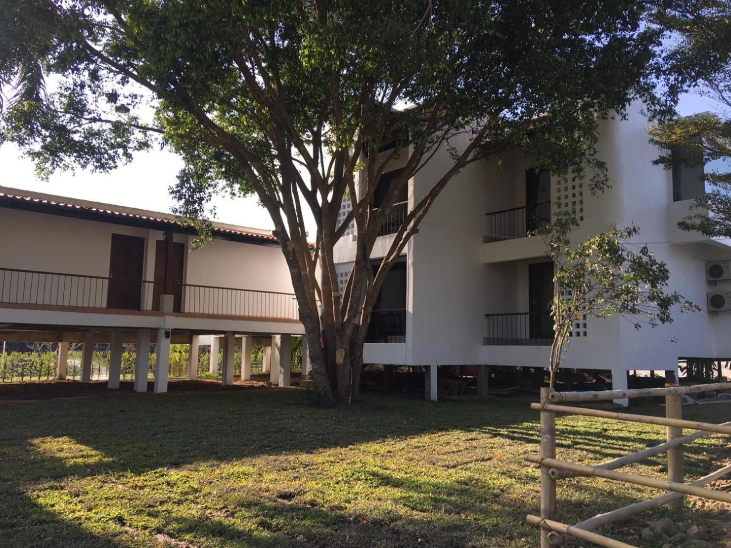 Canary Guesthouse Pai Δωμάτιο φωτογραφία